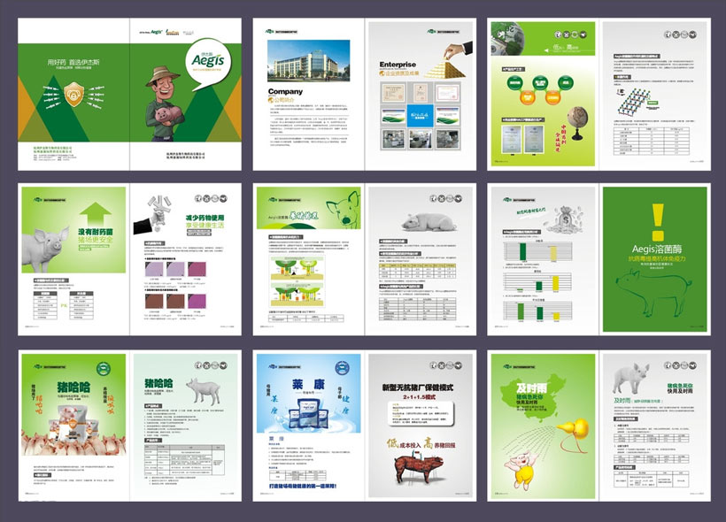 兽药画册设计 专业、精准的矢量素材选择与应用指南
